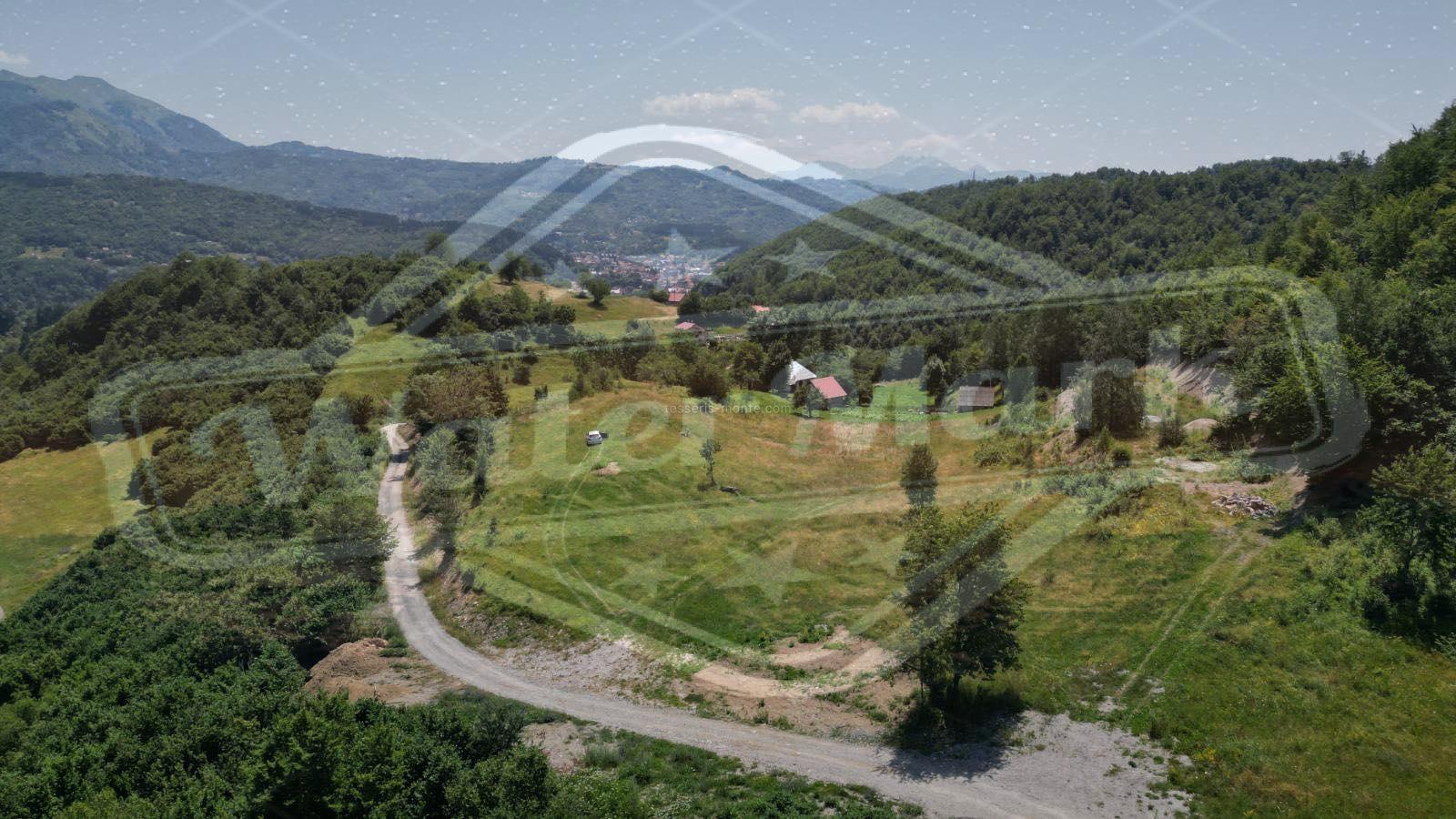 производ