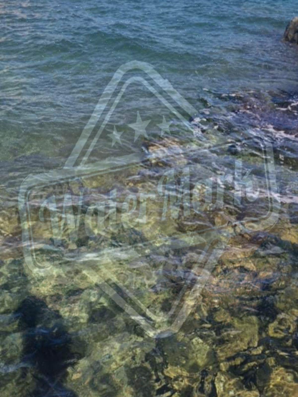 производ